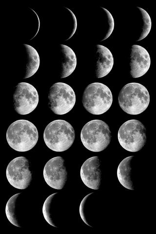 moonphases.jpg